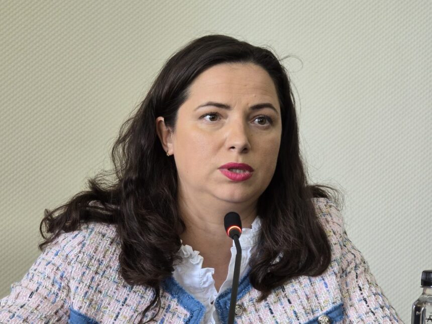 video consilierii judeteni au votat pentru reinfiintarea functiei de administrator public al judetului ionela costache propunerea lui florin mitroi 69ca28c5cd6ca