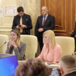 video daca tipati nu va creste barbatia atacuri in rafala la adresa dianei buzoianu la dezbaterea bugetului 69b978d488482