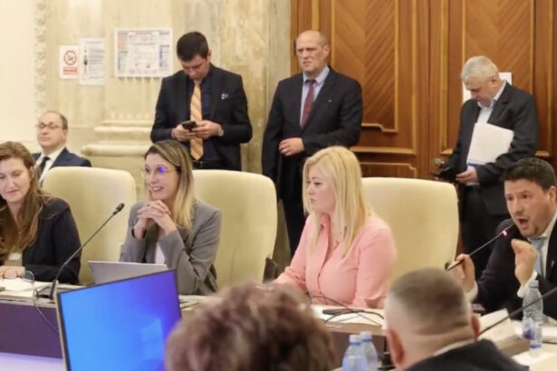 video daca tipati nu va creste barbatia atacuri in rafala la adresa dianei buzoianu la dezbaterea bugetului 69b978d488482