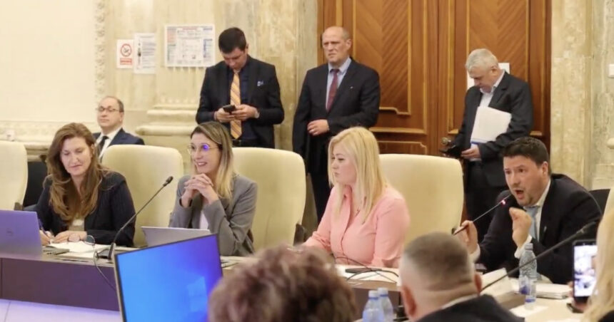 video daca tipati nu va creste barbatia atacuri in rafala la adresa dianei buzoianu la dezbaterea bugetului 69b978d488482