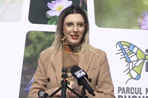 video diana buzoianu padurea baneasa poate fi parc natural arie protejata cand vom avea documentele ministerul mediului va face acest pas 69bea2cf2b9eb