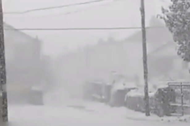 video furtuna therese loveste tenerife zapada si vant puternic pe insula spaniola cod portocaliu drumuri inchise si zboruri anulate 69bd7477021e3