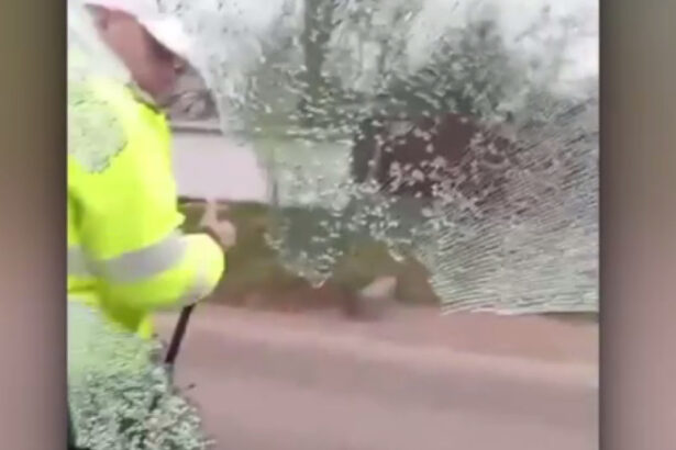 video momentul in care un politist sparge geamul masinii pentru a retine un sofer in botosani 69ca98b2c8780