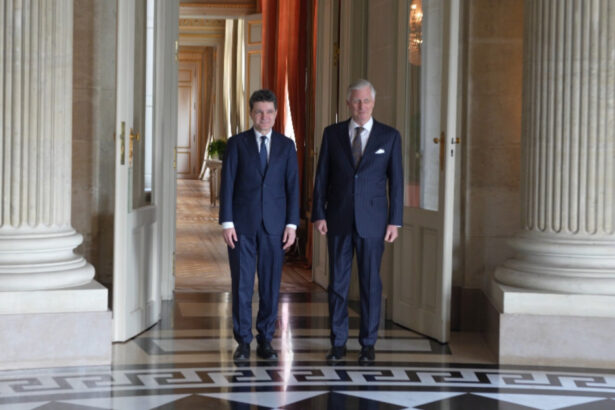 video nicusor dan primit de regele belgiei la laeken presedintele i a multumit suveranului pentru contributia la grupul nato de la cincu 69bd9c0bec633