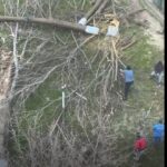 video scandalul din zona abator ia amploare au fost taiati copacii in zona unde cambela vrea sa faca parcare 69c4e040080d3