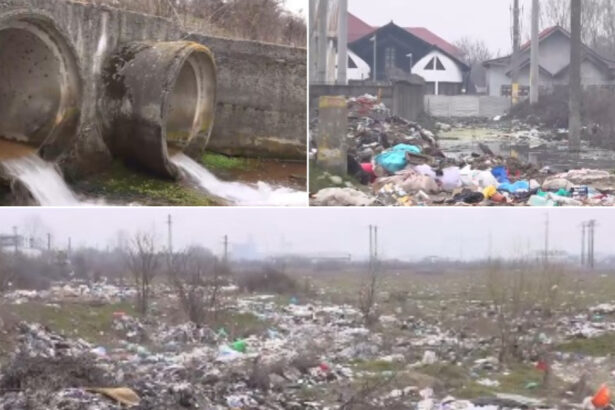 video vai de capul meu groaznic focar de infectie pe malul raului jiu din cauza tonelor de gunoaie aruncate la intamplare de oameni 69bb9d49b7948