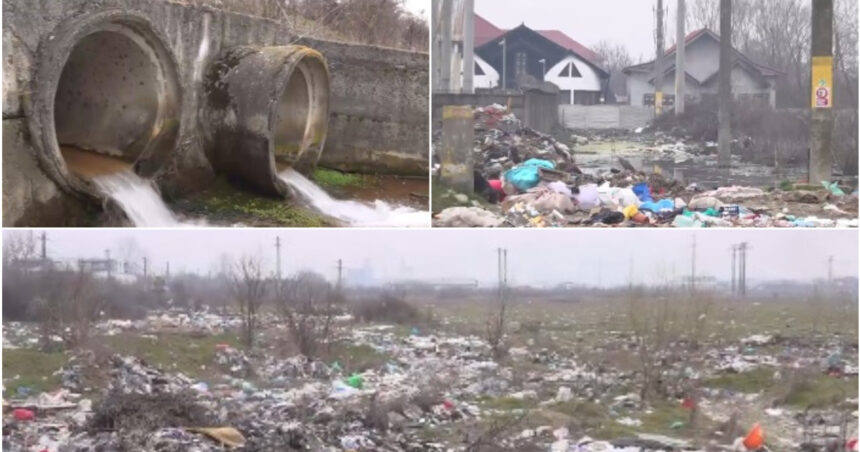 video vai de capul meu groaznic focar de infectie pe malul raului jiu din cauza tonelor de gunoaie aruncate la intamplare de oameni 69bb9d49b7948