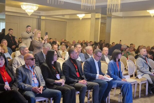 videofoto alegeri la psd constanta cum arata conducerea organizatiei municipale 69be836655de4