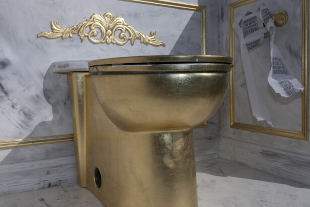 videofoto o toaleta aurie in apropierea memorialului lincoln ca ironie la adresa renovarilor ordonate de donald trump la casa alba 69cb6f38a0651