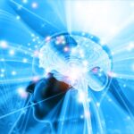 10 descoperiri despre creier care au schimbat modul in care ne intelegem mintea 69d4ad7fa31f6