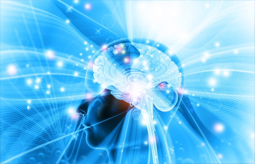 10 descoperiri despre creier care au schimbat modul in care ne intelegem mintea 69d4ad7fa31f6