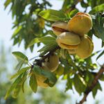 7 alimente esentiale pe care ar trebui sa le mancam chiar de azi 69d51e1e7c9e0