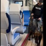 actiune de amplore a politistilor in statiile de cale ferata din constanta 69d51d204d2ca