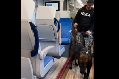 actiune de amplore a politistilor in statiile de cale ferata din constanta 69d51d204d2ca