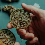 administratia trump reclasifica canabisul pentru a extinde utilizarea in scopuri medicale 69ea35f90b39a