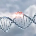 adn ul poate fi construit intr un mod nemaivazut pana acum arata un nou studiu 69ed2d5e89c33