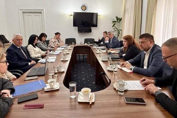 aep schimba legile partidelor si pregateste un nou cod electoral 69f30c545e19f