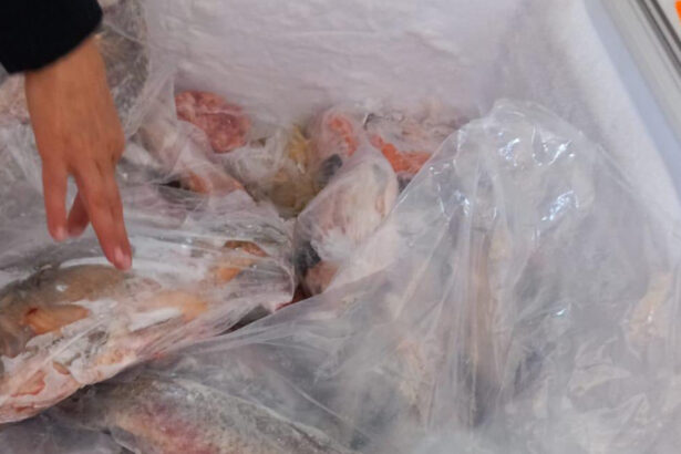 amenzi de peste 4 milioane de lei la comercianti de peste inspectorii anpc au descoperit marfa alterata si conditii insalubre 69ecab428869e