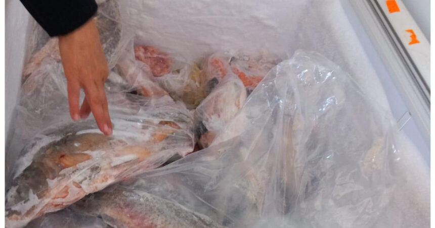 amenzi de peste 4 milioane de lei la comercianti de peste inspectorii anpc au descoperit marfa alterata si conditii insalubre 69ecab428869e