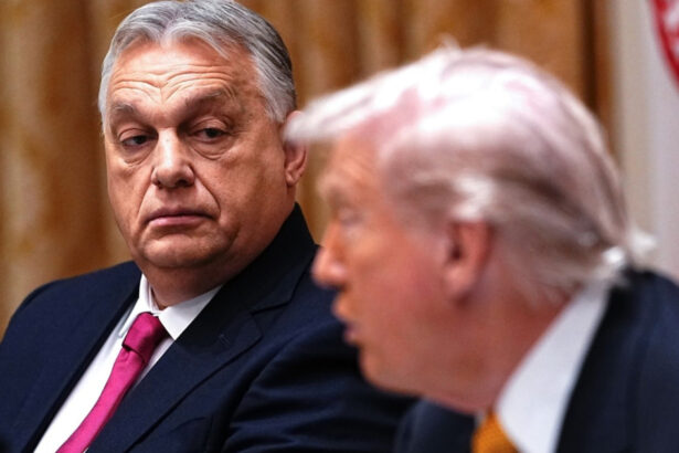 analiza infrangerea lui viktor orban prevesteste probleme pentru donald trump presedintele sua ramane fara campioni ai democratiei iliberale 69dcc762a7e1a
