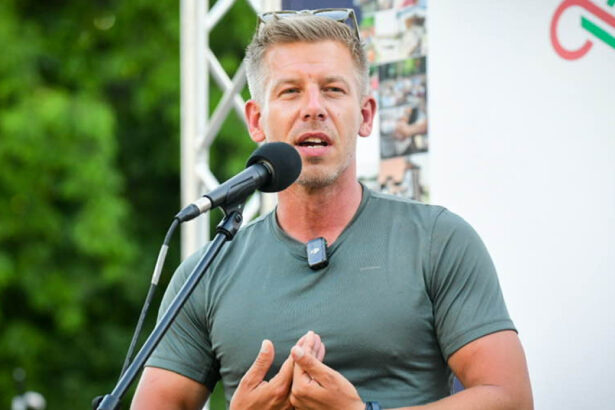 analiza ungaria singura tara nato care a redus cheltuielile militare cand ceilalti le mareau ce ar putea schimba peter magyar daca va castiga 69da7fb7903ff