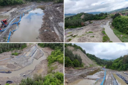 angajatii salrom dau vina pe castori in cazul salinei praid ministru e un exemplu de neasumare a consecintelor 69e2772f16546