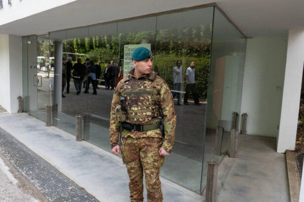 artistii si curatorii cer excluderea israelului rusiei si sua de la bienala de la venetia 69cceb0103a26