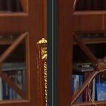 au fost cumparate din banii lui soros putin a inceput razboiul cu cartile din bibliotecile rusiei 69ce513cdefbc