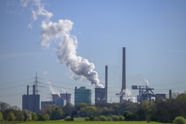 austria a anuntat propriul sistem de subventii pentru energia din industrie guvernul critica birocratia nesfarsita de la bruxelles 69db794500ec8