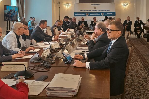 bataie intre senatorul cosa si microbistul cosa parlamentarul s a ametit de tot nu stie cum sa voteze daca ai voie sa bei o bere la meci sau nu 69ce3e9d03973