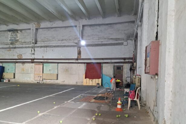 bazinul olimpic din zona badea cartan ar putea fi construit daca cni aloca fonduri 69ee976d1fc8d