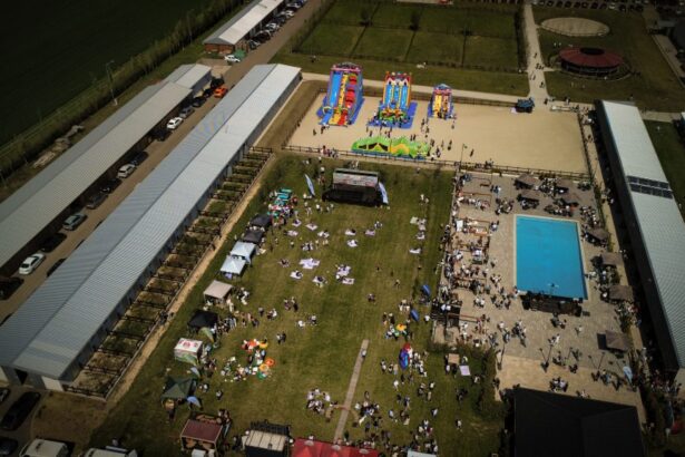 black sea horses anulat din cauza vremii 69f084d77d1c7