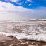 cadavrul unei vaci gasit pe plaja din zona santa maria bay oficial din partea ipj constanta 69ef34e003a8a