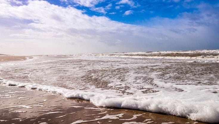 cadavrul unei vaci gasit pe plaja din zona santa maria bay oficial din partea ipj constanta 69ef34e003a8a