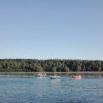 cadavrul unui barbat a fost descoperit in dunare in zona seimenii mici 69d4f2feae41f