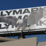 casa alba si a avertizat angajatii sa nu parieze pe razboiul cu iranul the wall street journal 69d88c8652160