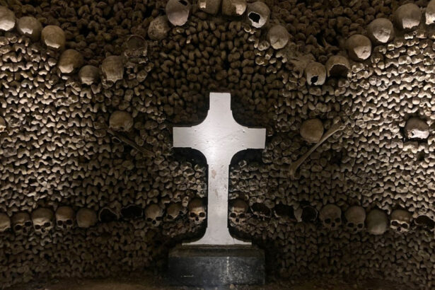 catacombele din paris redeschise dupa sase luni ce s a schimbat in urma lucrarilor de modernizare 69d6a3b5dfd03