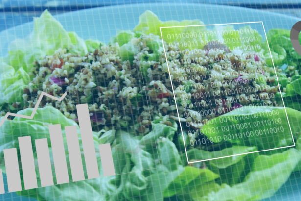 ce ar trebui sa mancam la fiecare varsta si cum se schimba nevoile nutritionale de a lungul vietii 69db4c528eb50