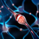 cercetatorii au descoperit ca miscarea abdominala elimina gunoiul din creier 69f21f017b536