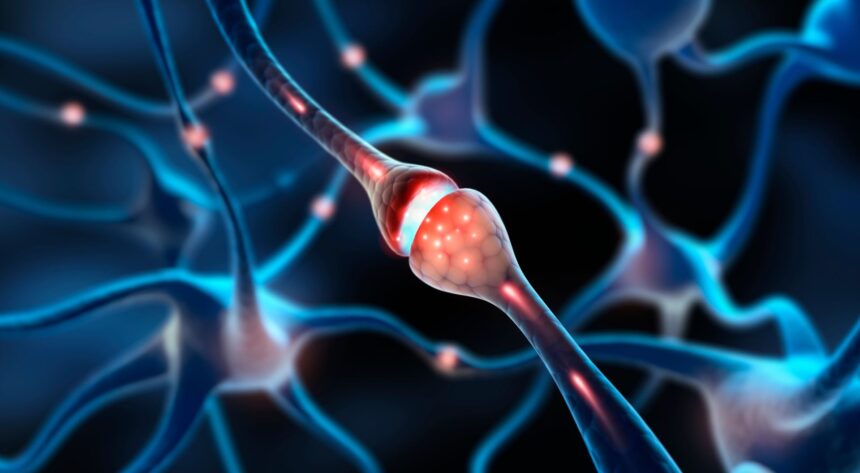 cercetatorii au descoperit ca miscarea abdominala elimina gunoiul din creier 69f21f017b536