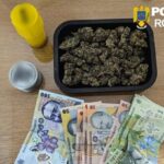 cinci traficanti de droguri retinuti la constanta vezi ce cantitati de canabis si substante cristaline au fost gasite 69eb6e0374f64