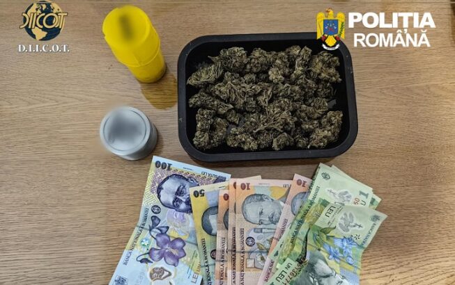 cinci traficanti de droguri retinuti la constanta vezi ce cantitati de canabis si substante cristaline au fost gasite 69eb6e0374f64