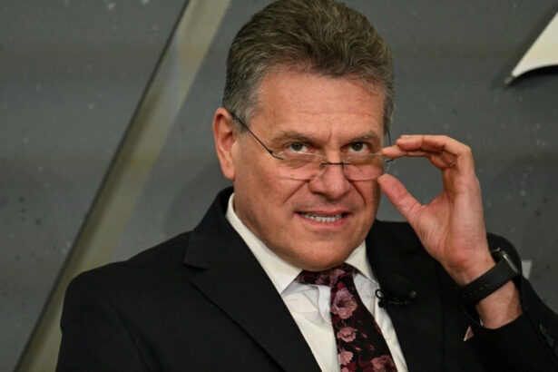 comisarul pentru comert maros sefcovic indemn pentru tarile ue nu supraincarcati acordul cu sua lansand cerinte suplimentare 69e276a823209