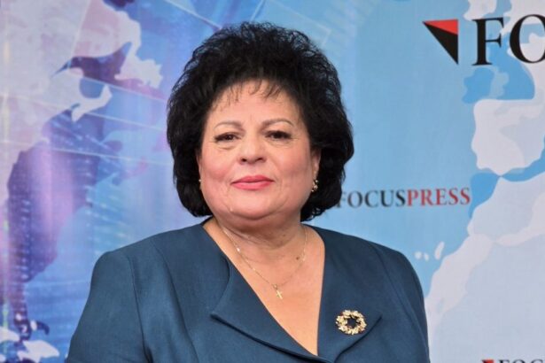 contestatia depusa de mariana gaju in legatura cu alegerile de la ofsd municipiul constanta ar putea primi raspuns dupa alegerile de la judet 69cd89640c950