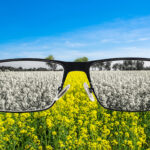 crezi ca vezi realitatea asa cum e stiinta spune ca mintea o reconstruieste permanent 69ea2f085a6ff