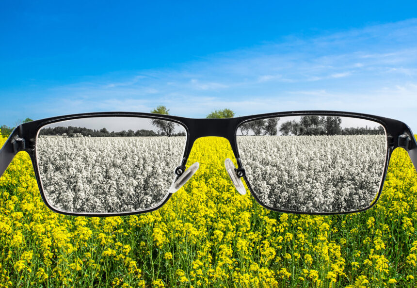 crezi ca vezi realitatea asa cum e stiinta spune ca mintea o reconstruieste permanent 69ea2f085a6ff