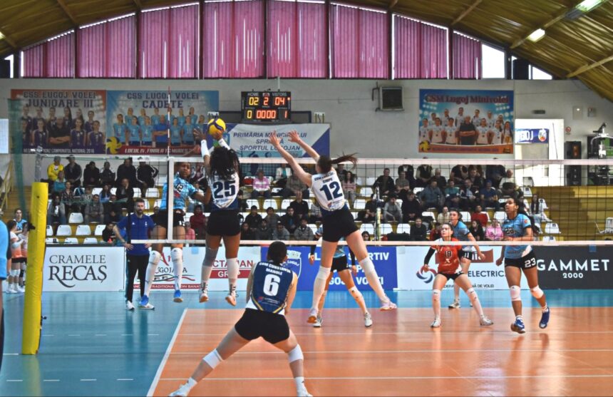 csm constanta a castigat la lugoj si va lupta pentru un loc in cupele europene 69d7894c723d3