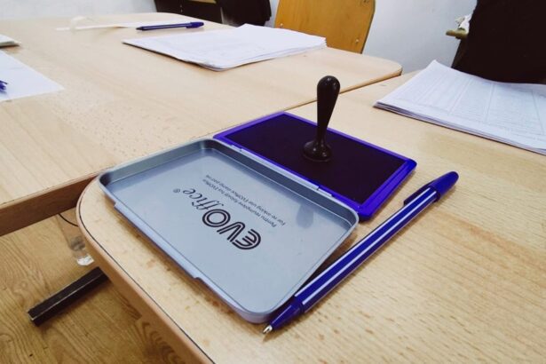 cu cine votam in 2028 pentru primaria constanta 69ed2649b00f6