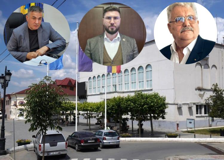 cuibul de viespi sau de cuci la alegere cateva detalii despre interesele si viata politica si administrativa din cernavoda 69ced75dd04c5