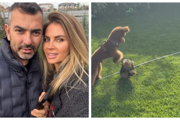 cum arata gradina casei andreei banica artista le a aratat fanilor imagini din curtea frumos amenajata 69e4bab6aeb08